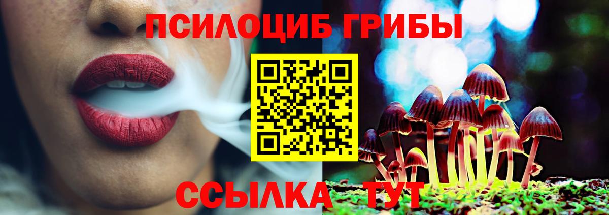 Карабулак  Галлюциногенные грибы Psilocybine cubensis  Вход с VPN  Галлюциногенные грибы GOLDEN TEACHER 