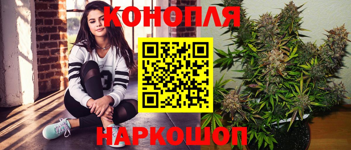 Марихуана план  Бошки марихуана ГИДРОПОН  Канабис THC 21%  Бошки Шишки конопля  Карабулак  Вход с VPN 